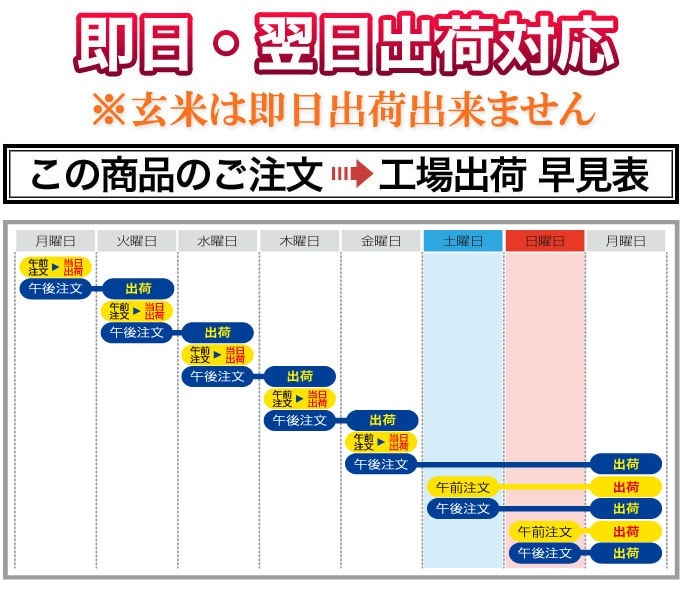 5ǯ(2023ǯ) ʡ縩ʡФ 6kg(2kg3)ơơ̵ۡۡޤǽŶۡԻơڤӲϰԻ