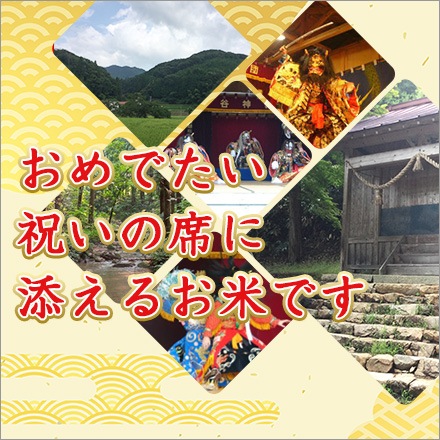 �����᡼�� �ˤ��αﵯ��3�￩����٥��å� ���绺 �褳���˿����ơʥ����ҥ���ˡ� ���λ� �ˤ��ޤ�� ʡ�绺 ʡ���Ф� 300g(2��) �� 3�ѥå� �����ѥå������ơ��椦�ѥ��å��������������£�ǯ(2025ǯ)��