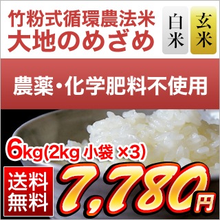 ��ʴ���۴���ˡ�� ���ϤΤᤶ��ʷ��ܻ� �ҥΥҥ���� 6kg(2kg��3��)������̵���ۡ����ơ����� ����ۡ����ޤ����ǽ�Ŷ�����������ڤӲ��������ϰ����Ի��� ����7ǯ(2025ǯ)��