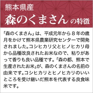熊本産 森のくまさん 300g(2合) × 3パック 真空パック【白米 熊本産 森のくまさん 300g(2合) × 3パック 真空パック【白米
