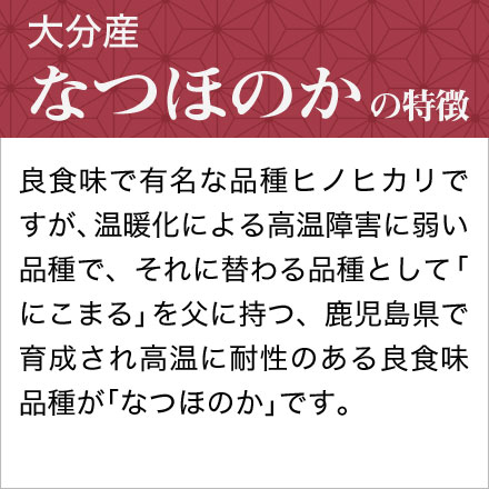 ��ʬ�� �ʤĤۤΤ�  300g(2��) �� 3�ѥå� �����ѥå�  �����ơ��椦�ѥ��å���������������6ǯ(2024ǯ)��