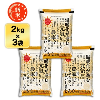 ���� �ڹⲹ�����ʼ�ۤ��Ҥ�����(���츩�� �ˤ��Τ���᤭) ���� 6kg(2kg��3��)������̵���ۡ�¨���в١ۡ����ޤ����ǽ�Ŷ����������8ǯ(2026ǯ)��