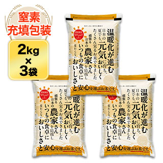 ���Ҥ�����(���ڸ��� �Ȥ�������) ���� 6kg(2kg��3��)������̵���ۡ����ޤ����ǽ�Ŷ�����ۡ�¨���в١����£�ǯ(2025ǯ)��