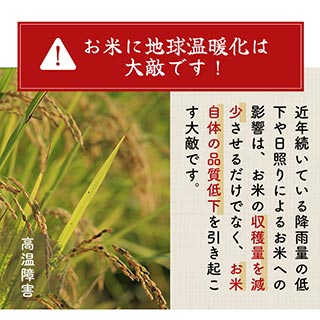 ���Ҥ�����(���ڸ��� �Ȥ�������) ���� 10kg(2kg��5��)������̵���ۡ����ޤ����ǽ�Ŷ�����ۡ�¨���в١����£�ǯ(2025ǯ)��