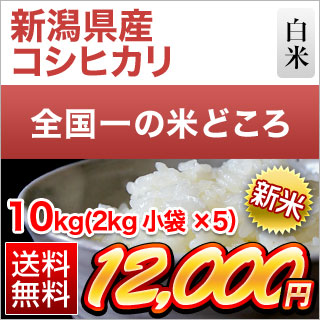  㸩 ҥ  10kg (2kg5)̵ۡ¨в١ۡޤǽŶ£ǯ(2025ǯ)