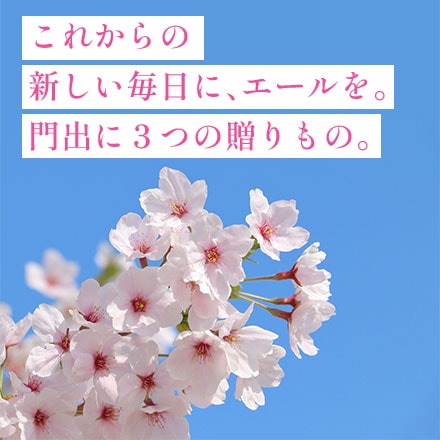 �ڿ��������ե�������ơ���� ̴������+ �Ŀ��� �Ϥ�錄��+ ���Ļ� �����ۥ��� ���� ��300g(2��)��3�ġڿ����ѥå����椦�ѥ��å��� ����̵���� ���£�ǯ(2025ǯ)��
