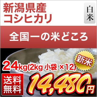 ���� ���㸩�� �����ҥ��� ���� 24kg (2kg��12��)������̵���ۡ�¨���в١ۡ����ޤ����ǽ�Ŷ����������8ǯ(2026ǯ)��