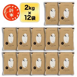���� ���㸩�� �����ҥ��� ���� 24kg (2kg��12��)������̵���ۡ�¨���в١ۡ����ޤ����ǽ�Ŷ����������8ǯ(2026ǯ)��