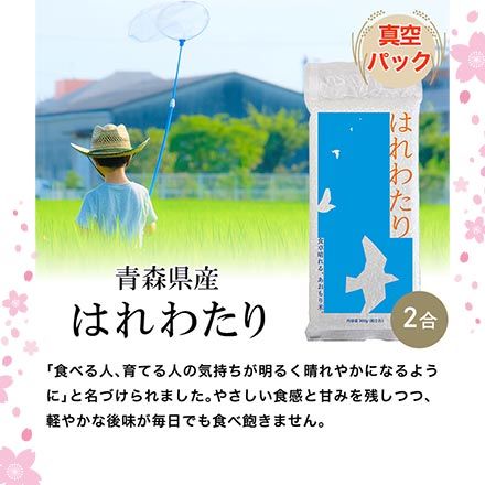�ڿ��������ե����軰�ơ��Ŀ��� �Ϥ�錄��+ ���Ļ� �����ۥ���+ ʡ�绺 ʡ���Ф��� ��ɲ�� �Ҥ������ �����绺 �����ۤʤ� ���� ��300g(2��)��5�� �����ѥå��� �ˤ���⤸�ʾ��ˡ�HARIO �ե������饹�Τ��ӳ�������̵���� ���£�ǯ(2025ǯ)��