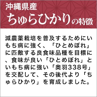 ���� ���컺�����Ҥ��ꡡ����300g(2��) �� 3�ѥå� �����ѥå��ڤ椦�ѥ��å��ء�����̵��������7ǯ(2025ǯ) �� 