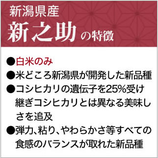 ���㸩�� ��Ƿ�� ���� 24kg��2kg��12�ޡˡ�����̵���ۡ����ޤ����ǽ�Ŷ�����ۡ�¨���в١�����7ǯ(2025ǯ)��