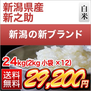 ���㸩�� ��Ƿ�� ���� 24kg��2kg��12�ޡˡ�����̵���ۡ����ޤ����ǽ�Ŷ�����ۡ�¨���в١�����7ǯ(2025ǯ)��