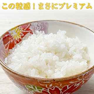�ץ�ߥ���饤�����꡼�� �纬���� ���̤ह�� ���� 10kg(2kg��5��)������̵���ۡ����ޤ����ǽ�Ŷ�����ۡ�¨���в١����£�ǯ(2025ǯ)��
