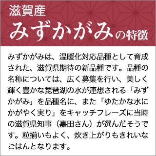  컺 ߤ 2ǯϢ³Aɾ  300g(2)  3ѥå ѥåڤ椦ѥå̵£ǯ(2025ǯ)