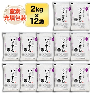 ���θ��������� �ˤ��ޤ�����ܰ줪�������ƥ���ƥ��� ��������� ͥ����޼��ޡӡ�9ǯϢ³��Aɾ�������� 24kg(2kg��12��) �����̺����ơۡ�����̵�������ǽ�Ŷ���������£�ǯ(2025ǯ)��