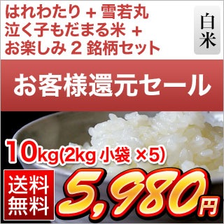 �����ʸ�����5�︷��������٥��å� �Ŀ��� �Ϥ�錄��� ������ ���� �� ���绺 �㤯�Ҥ���ޤ��ơ� �����Ϥ������ڤ��ߣ����� ����10kg��2kg��5�ޡˡ�����̵�������ǽ�Ŷ���������£�ǯ(2025ǯ)��