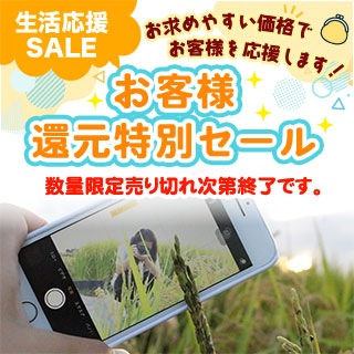 �ڸ�����ʡ�5�︷��������� ��껺 ��ϤΤ����� �� �Ŀ��� �Ϥ�錄��� ������ ���� �� ���绺 �㤯�Ҥ���ޤ��ơ� ��껺 �⿧����  ����10kg��2kg��5�ޡˡ�����̵�������ǽ�Ŷ���������£�ǯ(2025ǯ)��