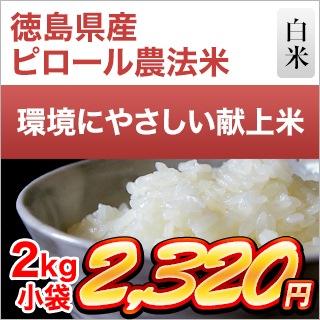 ڿ̸ ԥˡ 2kg̤ơˡơۡޤǽŶ6ǯ(2024ǯ) 绺ҥ