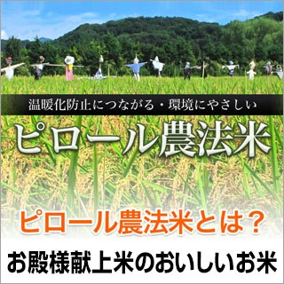 ڿ̸ ԥˡ 2kg̤ơˡơۡޤǽŶ6ǯ(2024ǯ) 绺ҥ
