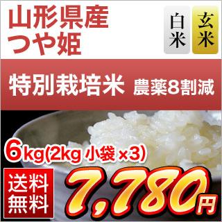 �������� �Ĥ�ɱ��15ǯϢ³�ã�ɾ���� 6kg (2kg��3��) �����ơ����ơۡ�����̵���ۡ��������为�ۡڰ¿��������Ի����ơۡ����ޤ����ǽ�Ŷ�����ۡ�¨���в٤����ƤΤߡ����£�ǯ(2025ǯ)��