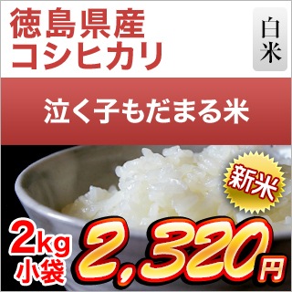  縩 㤯Ҥޤơʥҥ  2kgޤǽŶۡ¨в١ۡԻơ7ǯ(2025ǯ)