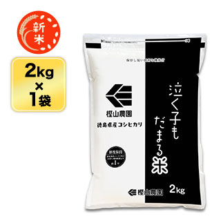  縩 㤯Ҥޤơʥҥ  2kgޤǽŶۡ¨в١ۡԻơ7ǯ(2025ǯ)