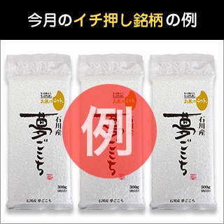 ���ƤΥ��֥����罸  ��������������᡼�룹�ĥ��å����Ϥ� �ʿ����ѥå����椦�ѥ��å��ء�����̵��������8ǯ(2026ǯ)�� 