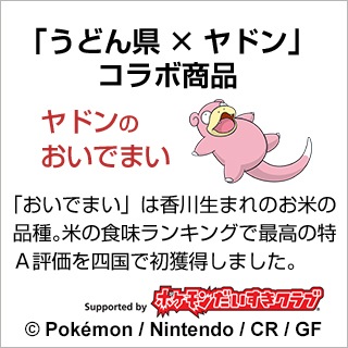 ɥΤǤޤ  10kg(2kg5)ơ̵ۡۡޤǽŶ£ǯ(2024ǯ)