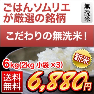  ̵  ҥ 6kg(2kg3)̵ۡơۡޤǽŶ7ǯ(2025ǯ)