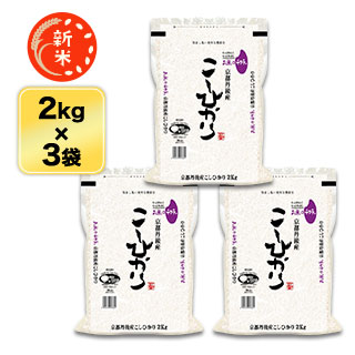  ðͿĮ ҥ 6kg(2kg3) ơơ̵̺ۡۡơۡǽŶۡ¨в٤ƤΤߡ£ǯ(2025ǯ)