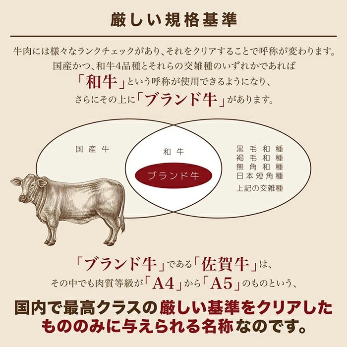 佐賀牛 ガッツリステーキ １ポンド（約454ｇ）