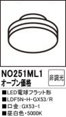 NO251ML1LEDŵեåȷLDF5N-H-GX53/R⡧GX53-1١5000K򿧡ˡĴࡧĴ