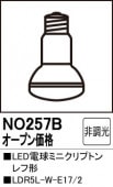 NO257BLEDŵߥ˥ץȥշLDR5L-W-E17/2⡧E17١2700Kŵ忧ˡĴࡧĴ