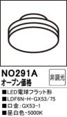 NO291ALEDŵեåȷLDF6N-H-GX53/75⡧GX53-1١5000K򿧡ˡĴࡧĴ
