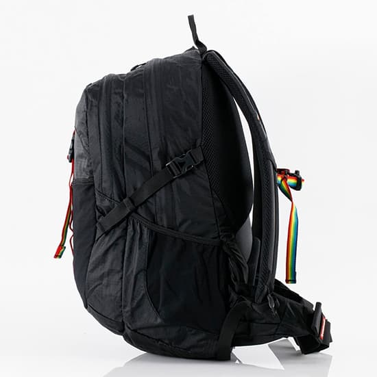 新品　チャムス　スプリングデールSpring Dale 25 リュック　ブラック Spring Dale 25/スプリングデール25(デイパック｜リュック)(One