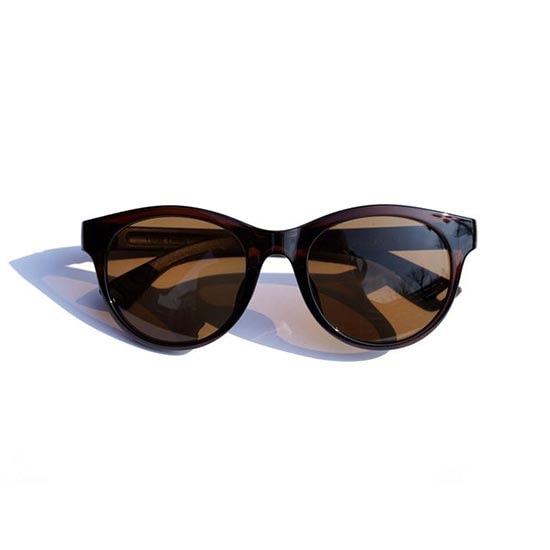 フロート メサ ブラウン／ブラウン（偏光サングラス） FLOAT022 MESA BROWN / BR サングラス 登山 アウトドア