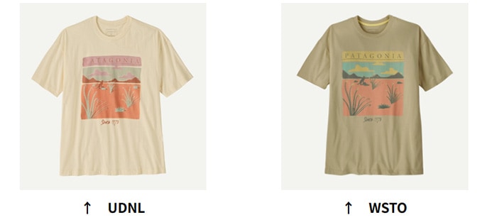 パタゴニア ウィメンズ・デザート・グロー・オーバーサイズ・Tシャツ