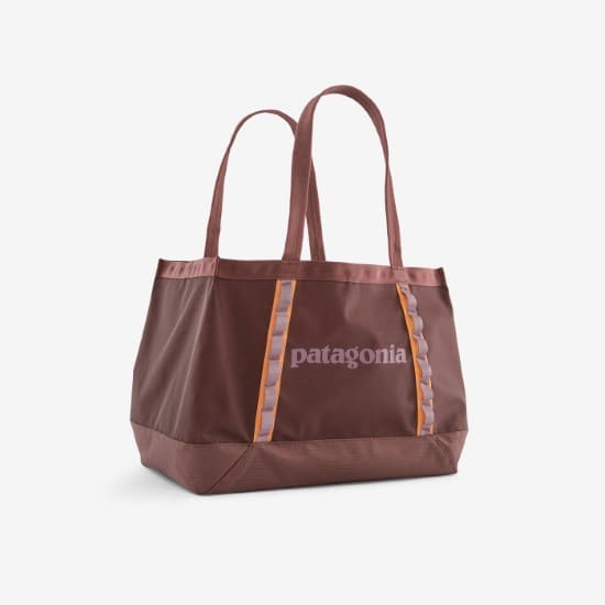 【極美品激レアカラー】パタゴニア ブラックホールトートバッグ25L パタゴニア ブラックホール・トート 25L (カラー Pufferfish