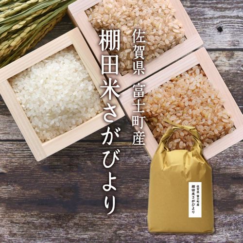 令和6年産　福岡県産　白米　ヒノヒカリ　10キロ 米 お米 10kg 送料無 ひの姫 ひのひかり 九州産 令和6年産米使用