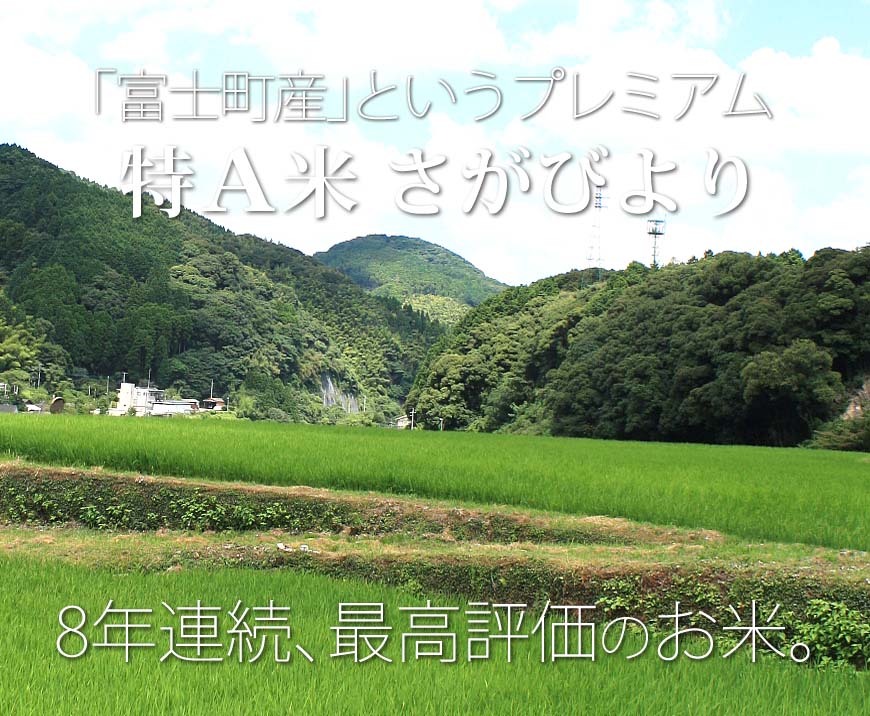 【新米】九州のお米 令和7年産 佐賀県産棚田米さがびより 1袋5kg