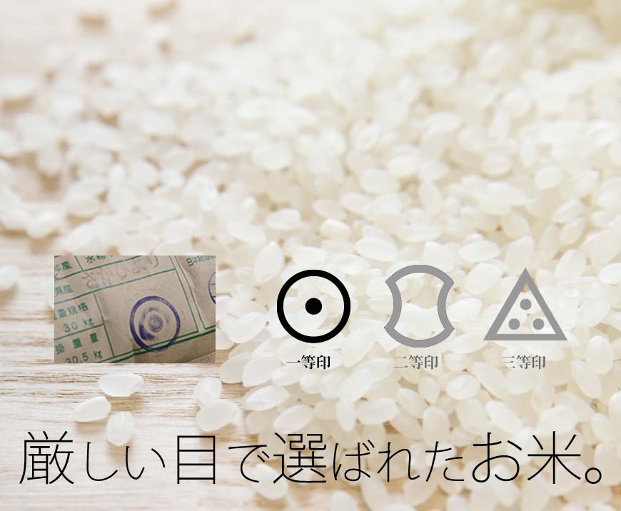 【新米】九州のお米 令和7年産 佐賀県産棚田米さがびより 1袋5kg