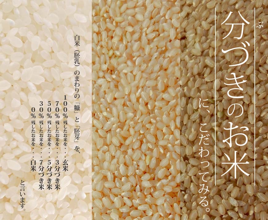 【新米】九州のお米 令和7年産 佐賀県産棚田米さがびより 1袋5kg