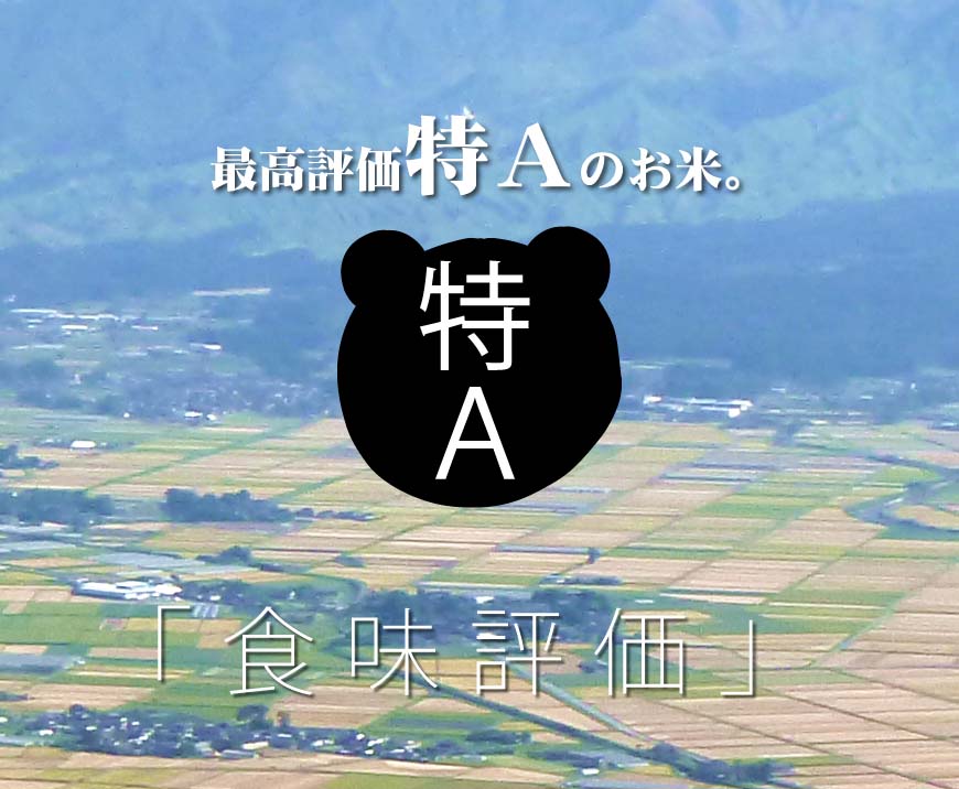 九州のお米 令和7年産 熊本県産森のくまさん