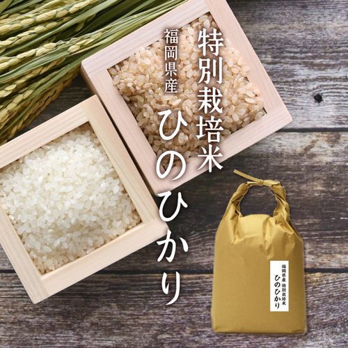 ڿơ۶彣Τ 7ǯ ʡ̺ƤҤΤҤ 1 5kg