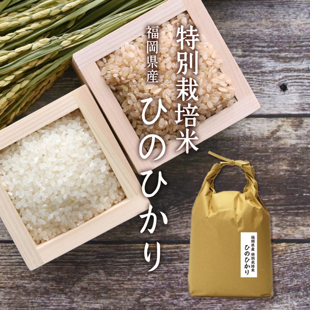 新米】九州のお米 令和7年産 福岡県産特別栽培米ひのひかり 1袋 5kg