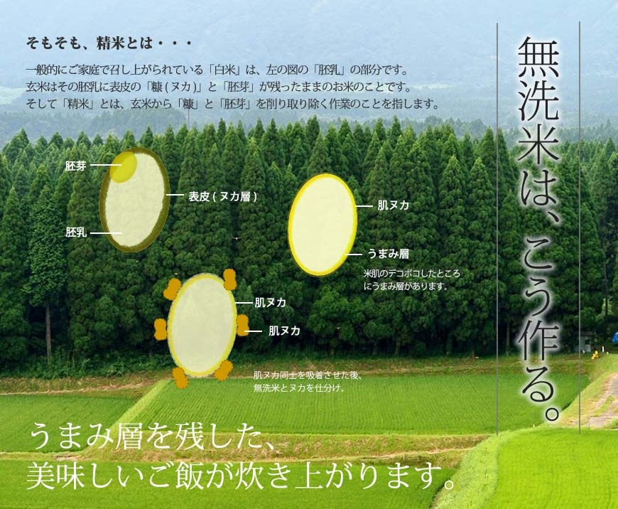 九州のお米 令和7年産 福岡県産無洗米ひのひかり [残留農薬不検出 / 一等米]