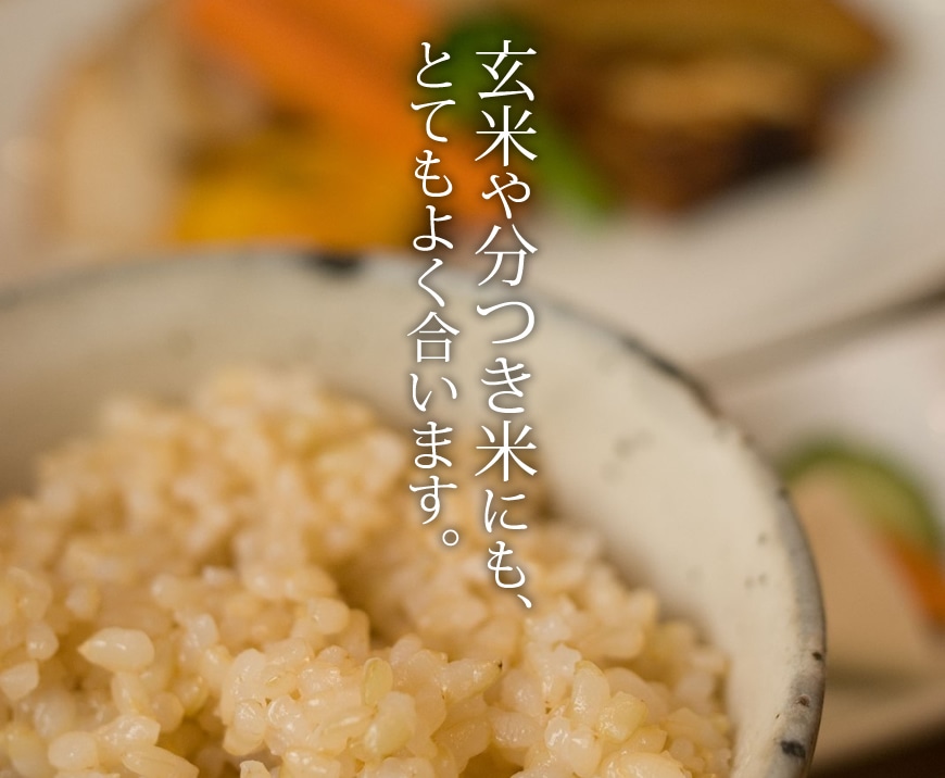 長崎県対馬産 浜御塩 藻塩お試しパック[1g×10包]