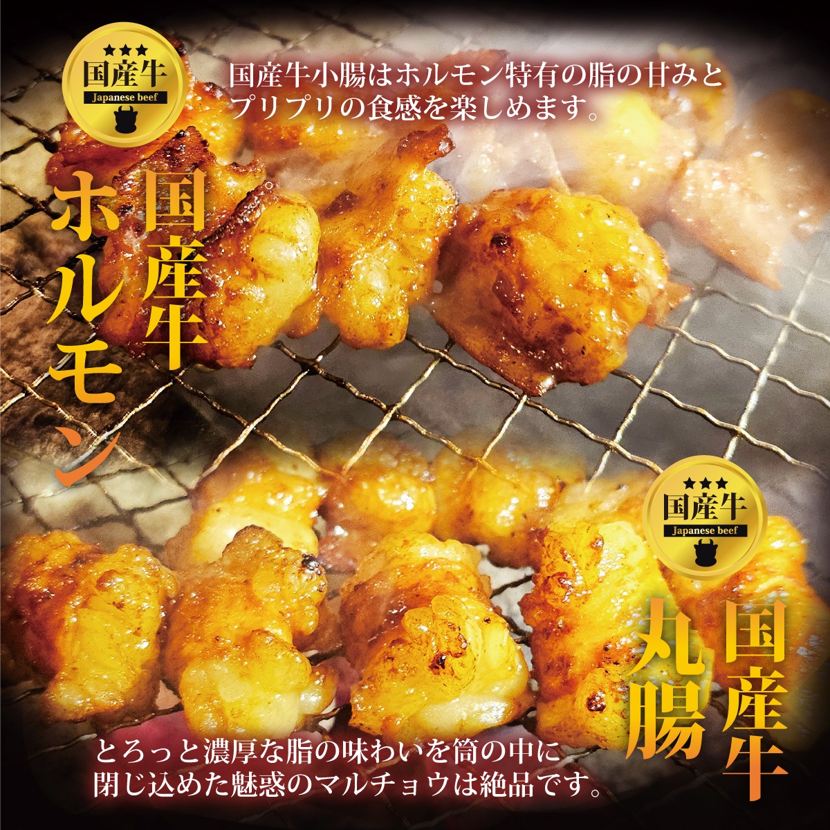 䥭˥BOX [400g2]ʡξŹä3फ٤ܳʾåȡΤա