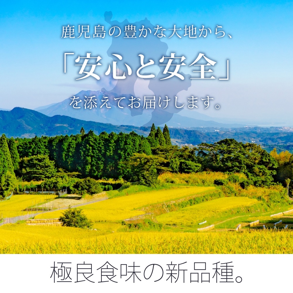 ڿơ 彣Τ 7ǯ 縩ʤĤۤΤ 15kg