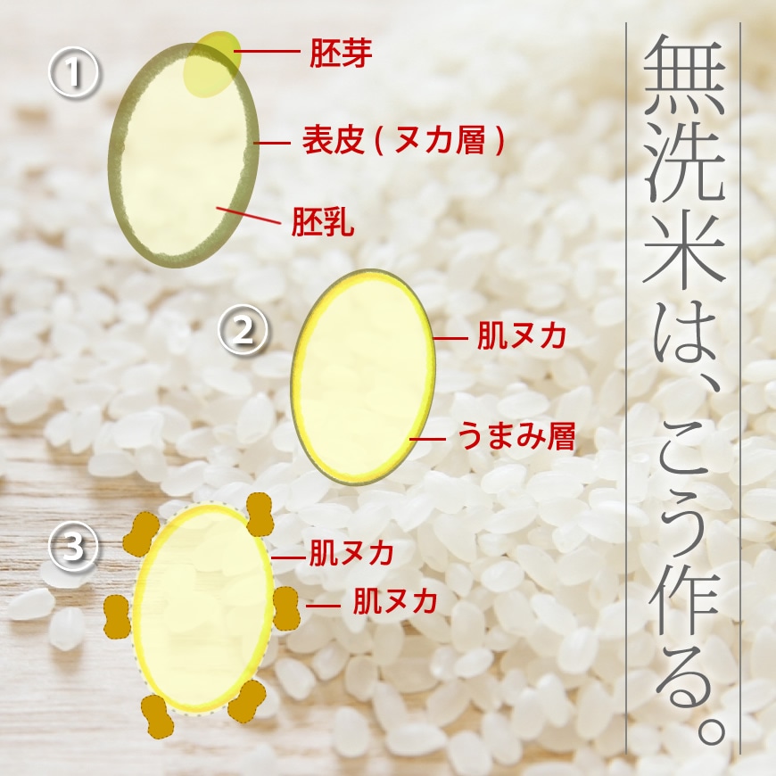 彣Τ 6ǯ ʡ̵ƤҤΤҤ [αԸ / ]